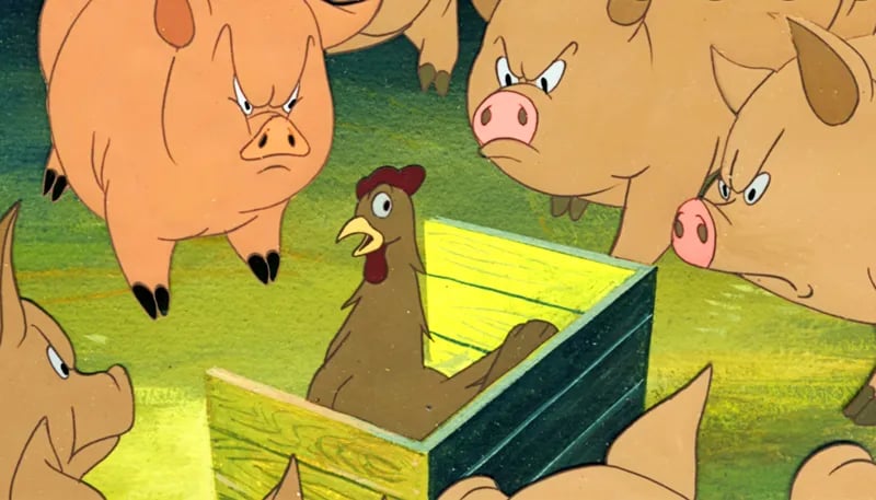 Animal Farm piglets