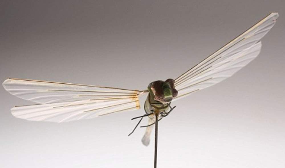 Dragonfly