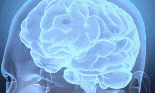 Neuroscience