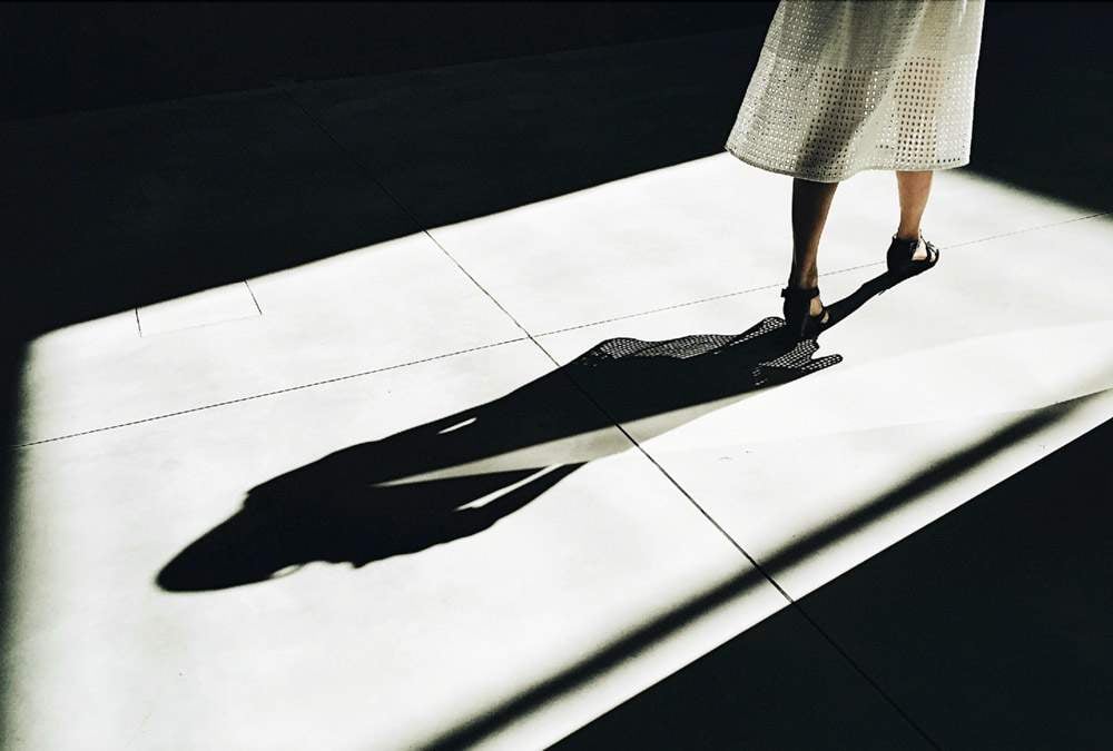 Spy in the shadows