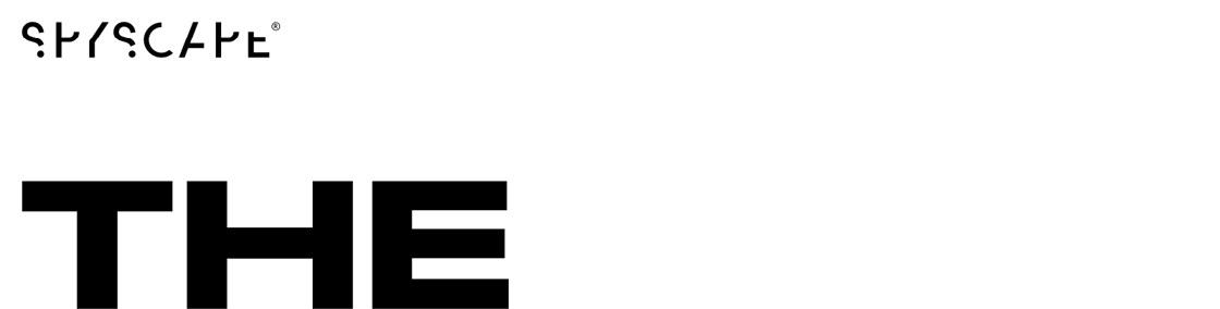 THE BRIEF