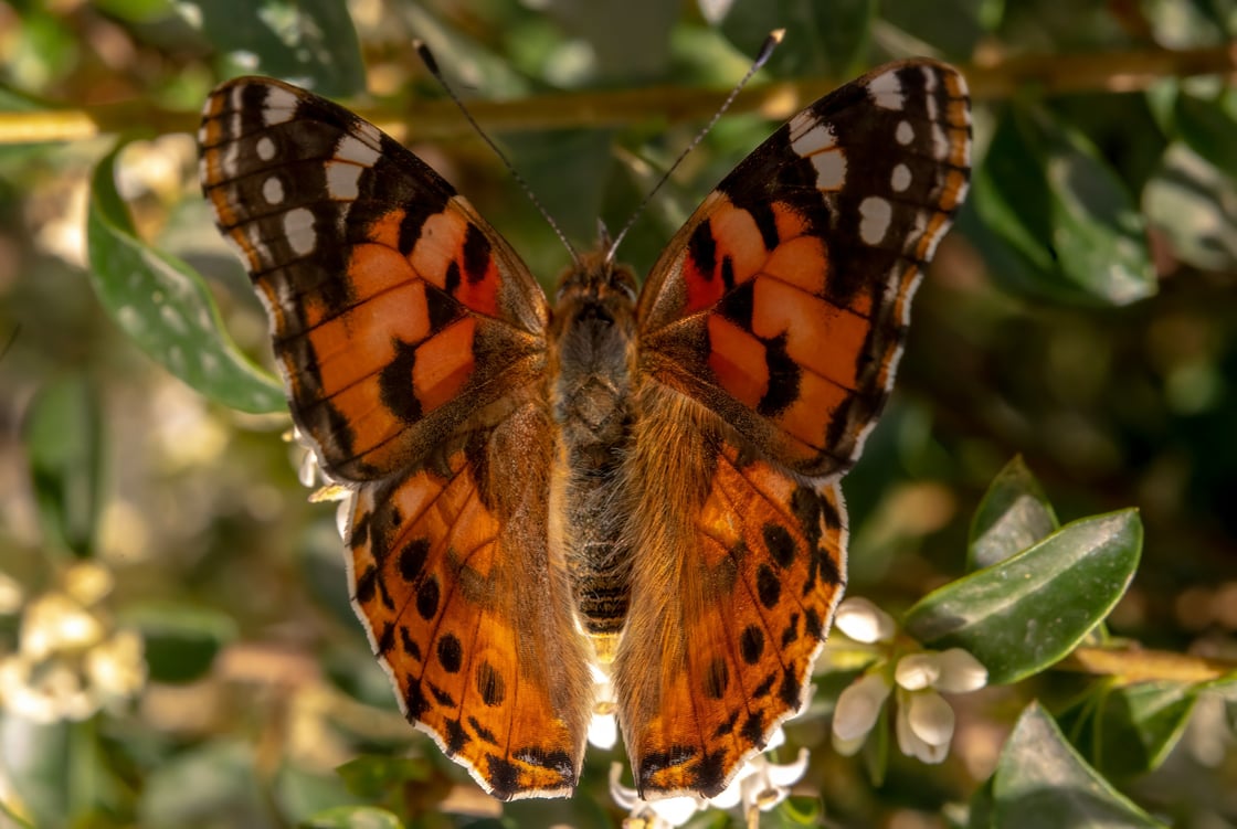 akbar-nemati-ApMlAXw5PLY-unsplash