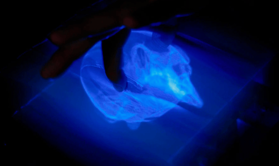 holo3d