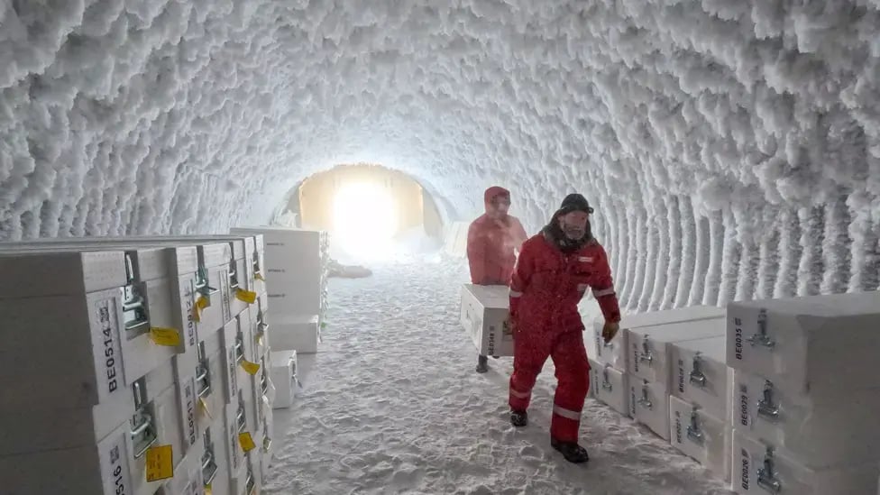 ice