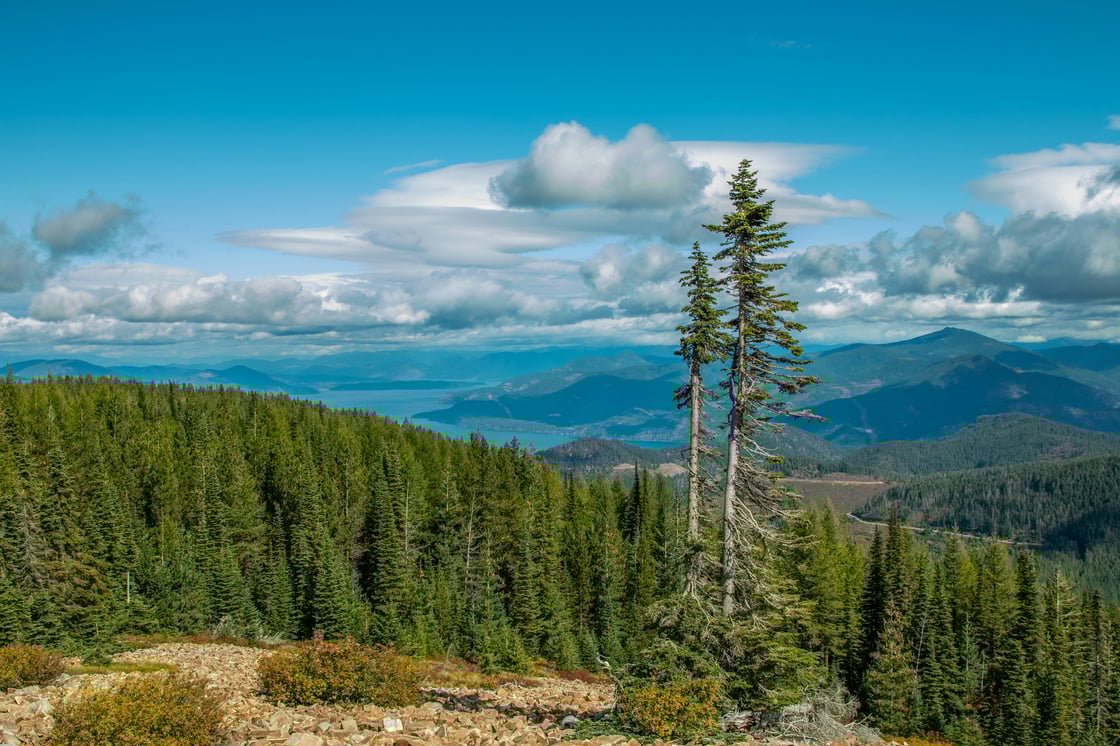 idaho