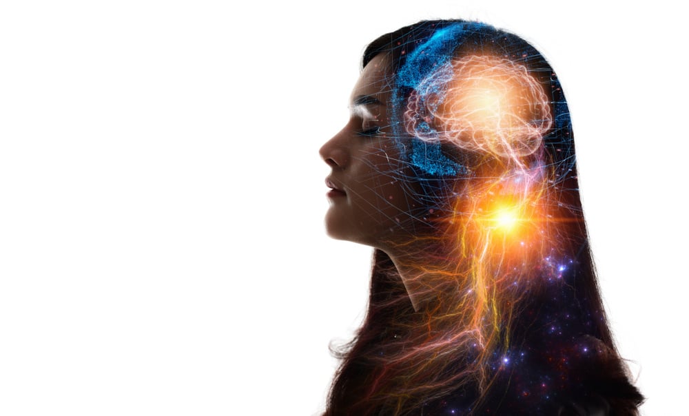 neurons