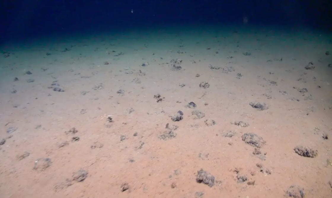 oceanfloor